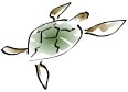logo image, a swimming turtle